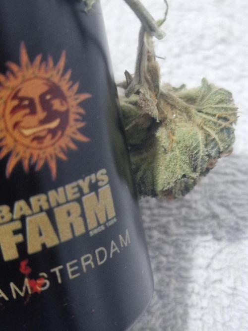 🔗AWARENESS🔗. Week 18