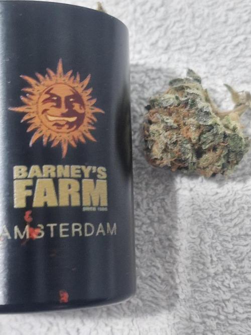 🔗AWARENESS🔗. Week 18