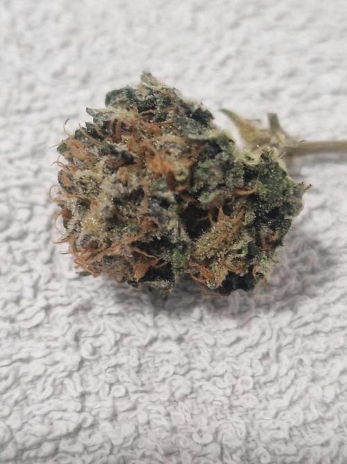 🔗AWARENESS🔗. Week 18