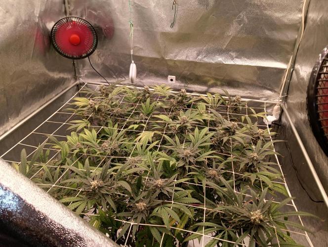 My Future. Week 14