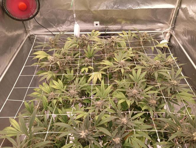 My Future. Week 14
