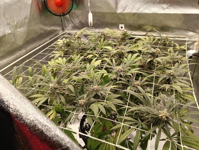 My Future. Week 15