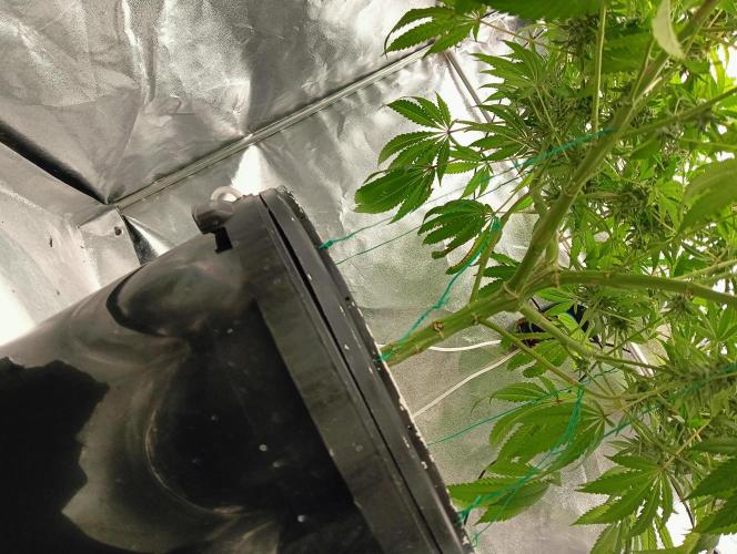 Future #1. Week 15