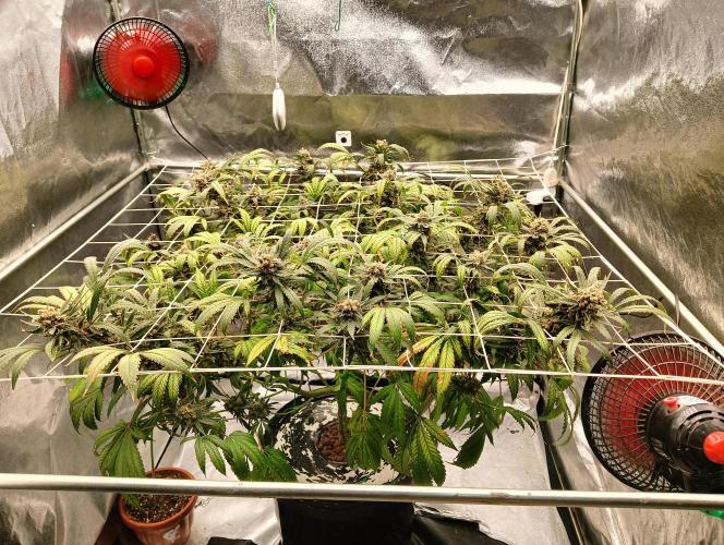 My Future. Week 16