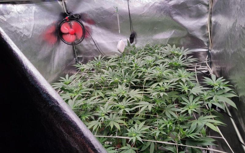 O. G. Diamond. Week 14