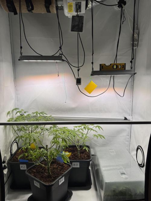 Alaskan Ice. Week 9 - Almost out of space