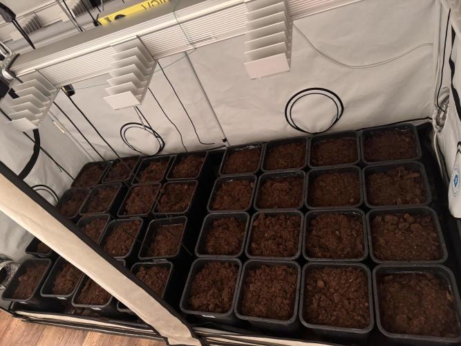 Alaskan Ice. Week 10 - Ready to take off