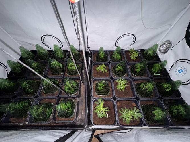 Alaskan Ice. Week 10