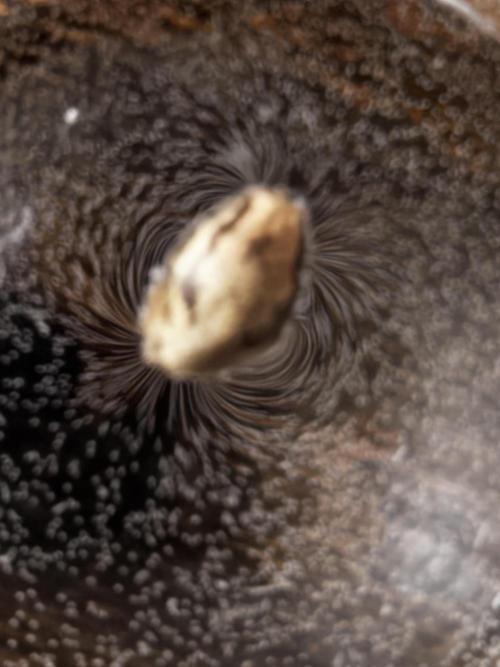 Black Orchard. Week 0 - Promo Seed