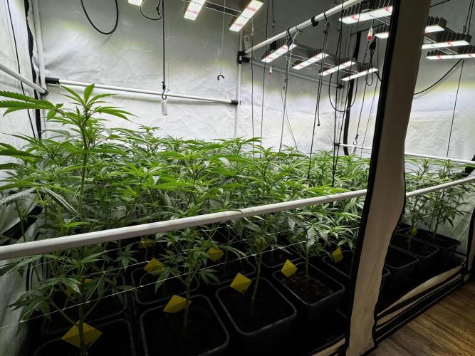 Alaskan Ice. Week 13 - FD11