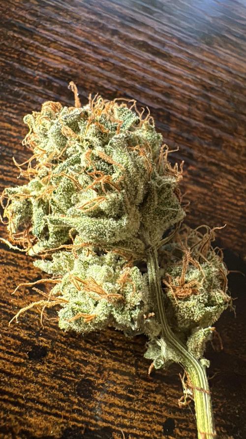 Alaskan Ice. Week 20