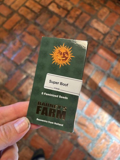 BF - Super Boof. Week 0 - 11/6/25