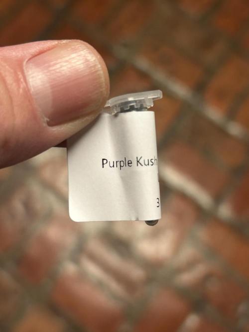 HS - Purple Kush. Week 0