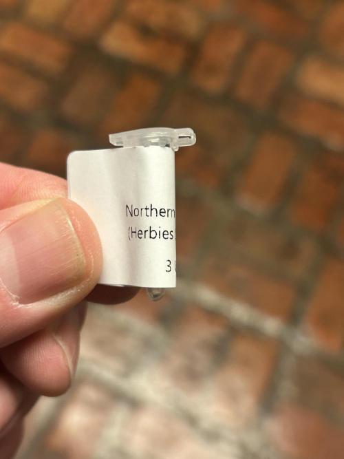 HS Northern Lights #10. Week 0