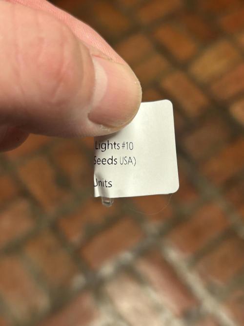 HS Northern Lights #10. Week 0