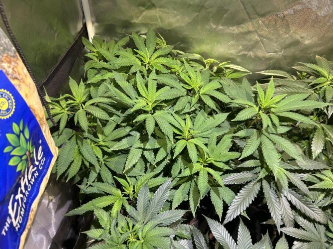 OSS - Blackwater. Week 18 - 2/21/26