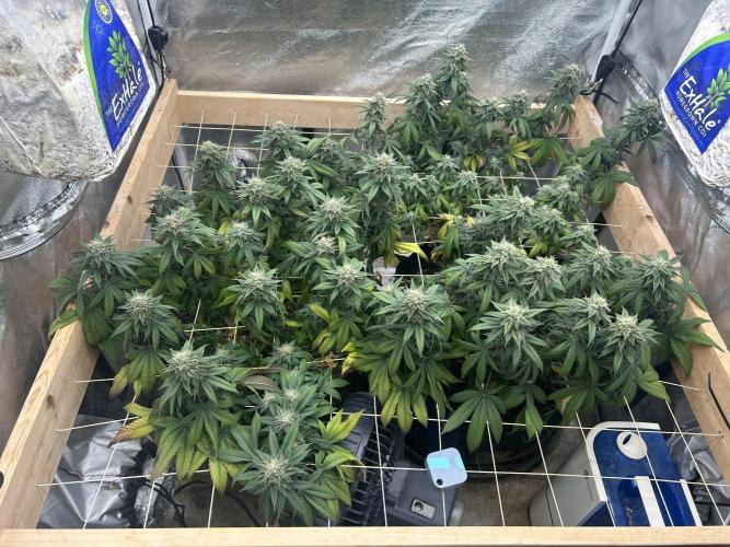 BF - Super Boof. Week 23 - 4/18/26