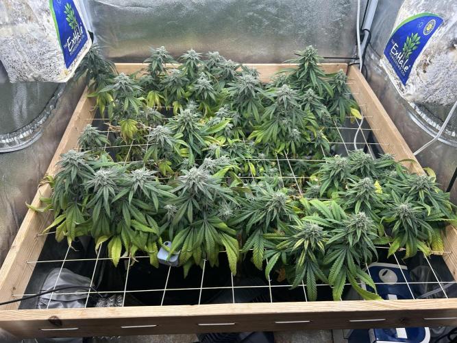 OSS - Blackwater. Week 26