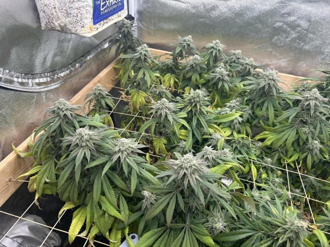 OSS - Blackwater. Week 26