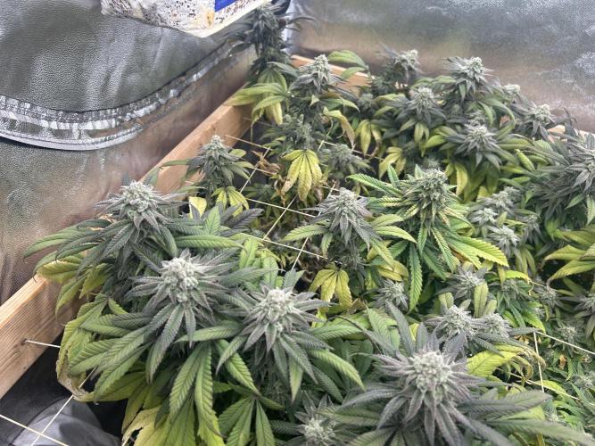OSS - Blackwater. Week 27