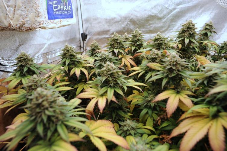 BF - Super Boof. Week 25