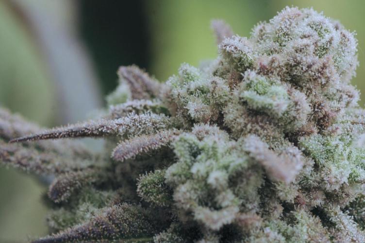 OSS - Blackwater. Week 28