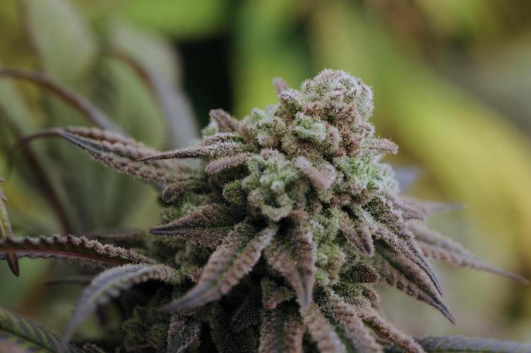 OSS - Blackwater. Week 28