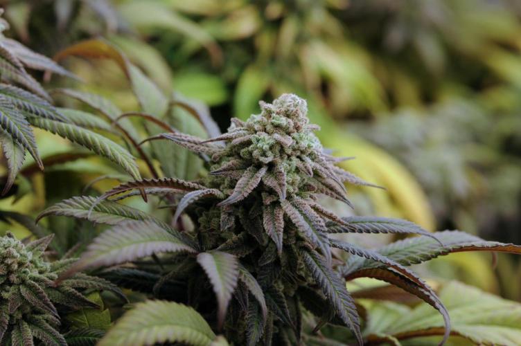 OSS - Blackwater. Week 28