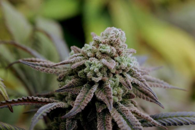 OSS - Blackwater. Week 28