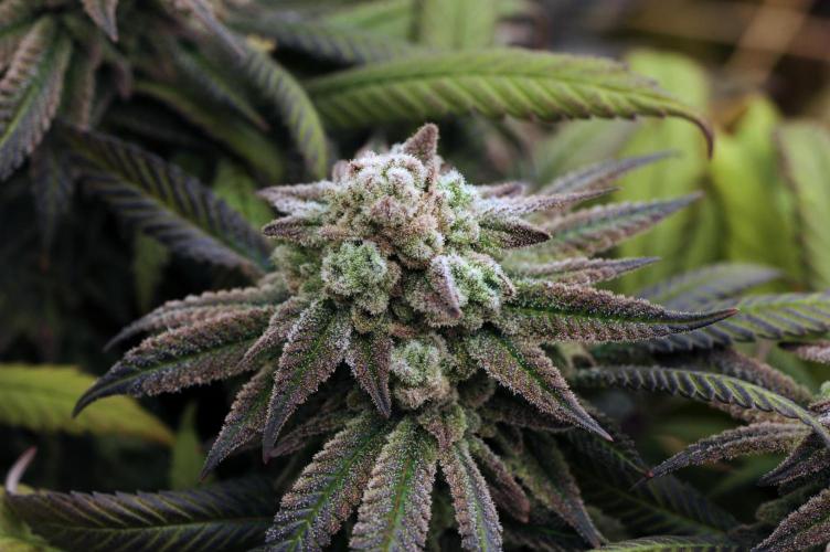 OSS - Blackwater. Week 28