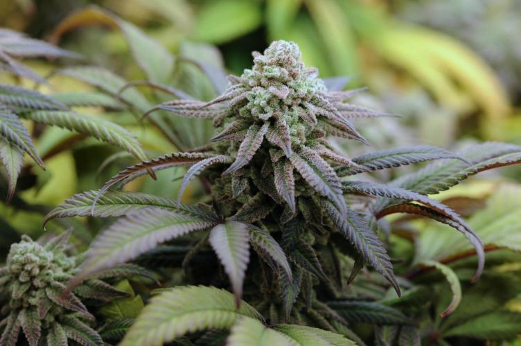 OSS - Blackwater. Week 28