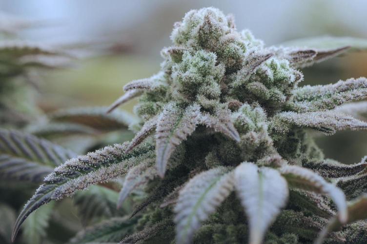 OSS - Blackwater. Week 28