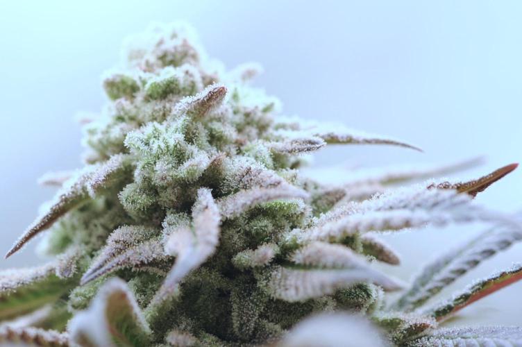 OSS - Blackwater. Week 28