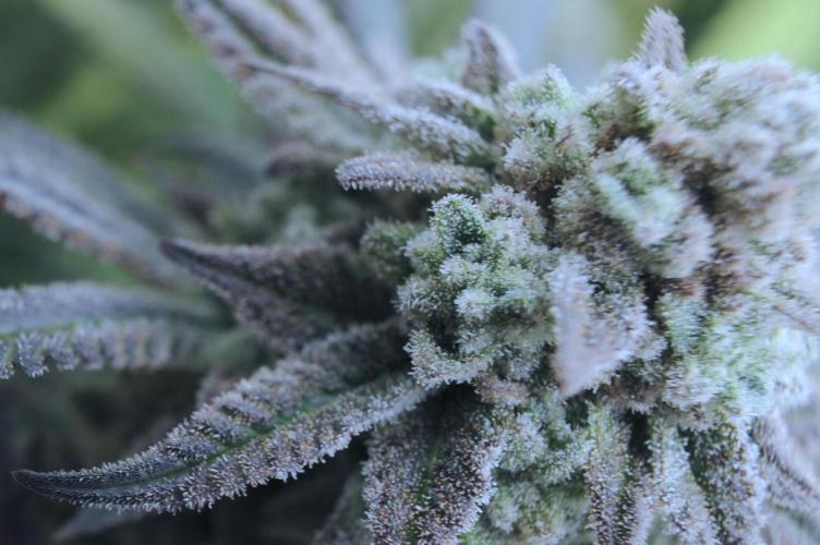 OSS - Blackwater. Week 28