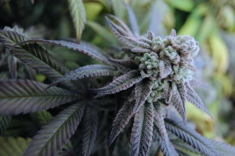 OSS - Blackwater. Week 28