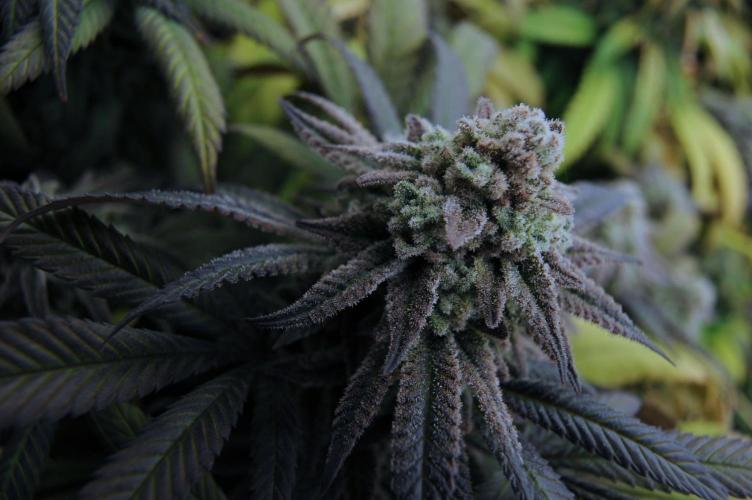 OSS - Blackwater. Week 28