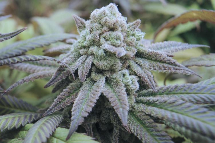 OSS - Blackwater. Week 28
