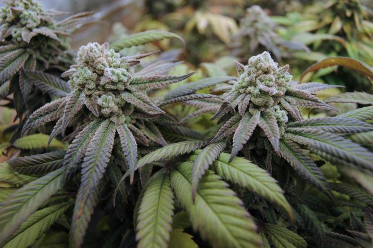 OSS - Blackwater. Week 28
