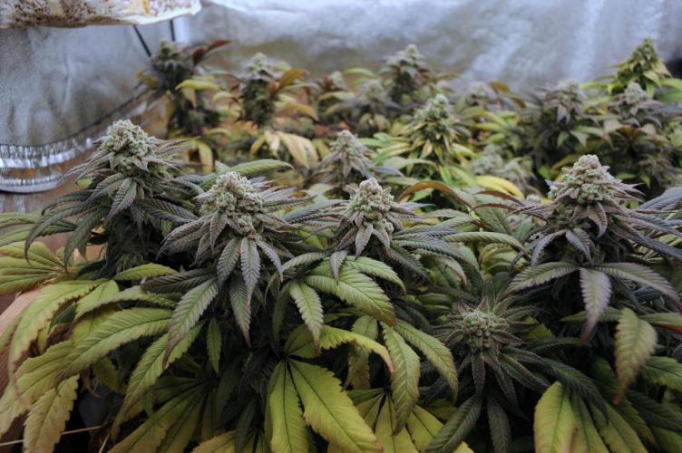 OSS - Blackwater. Week 28