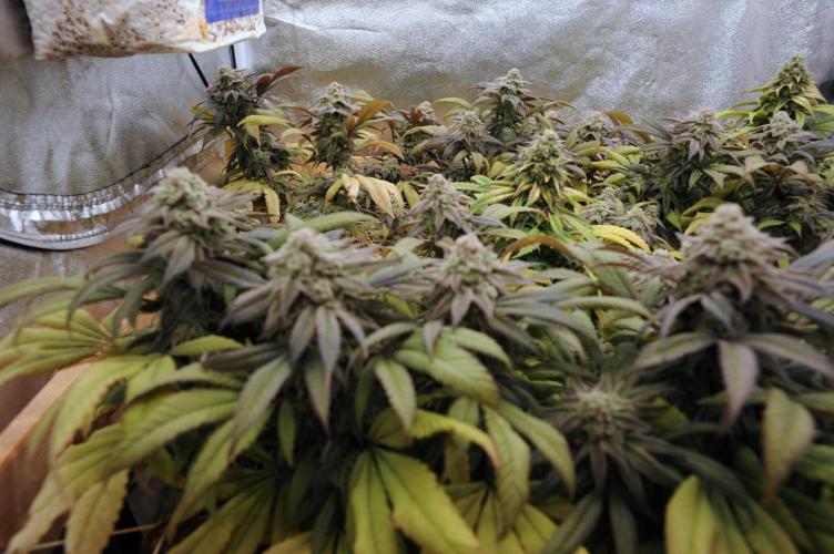 OSS - Blackwater. Week 28