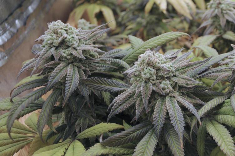 OSS - Blackwater. Week 28