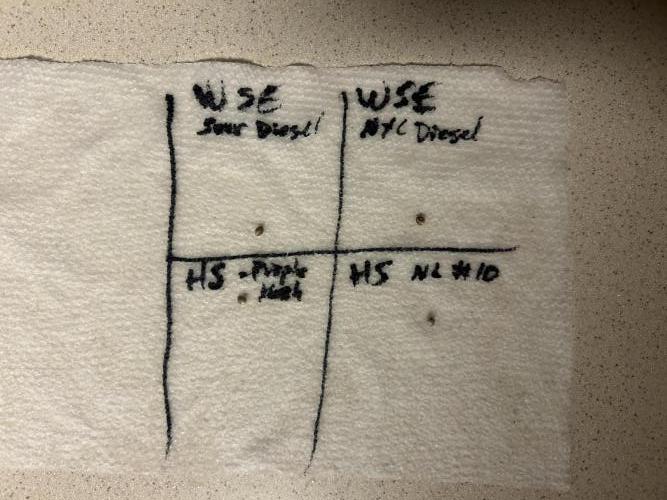 WSE NYC Diesel. Week 0