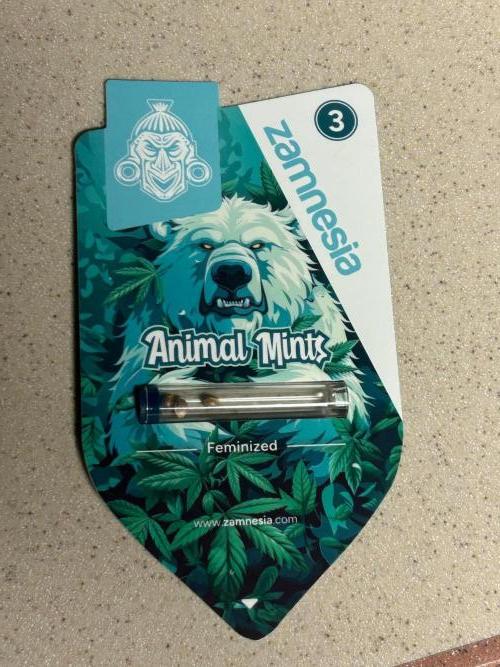 Zamnesia - Animal Mints. Week 0