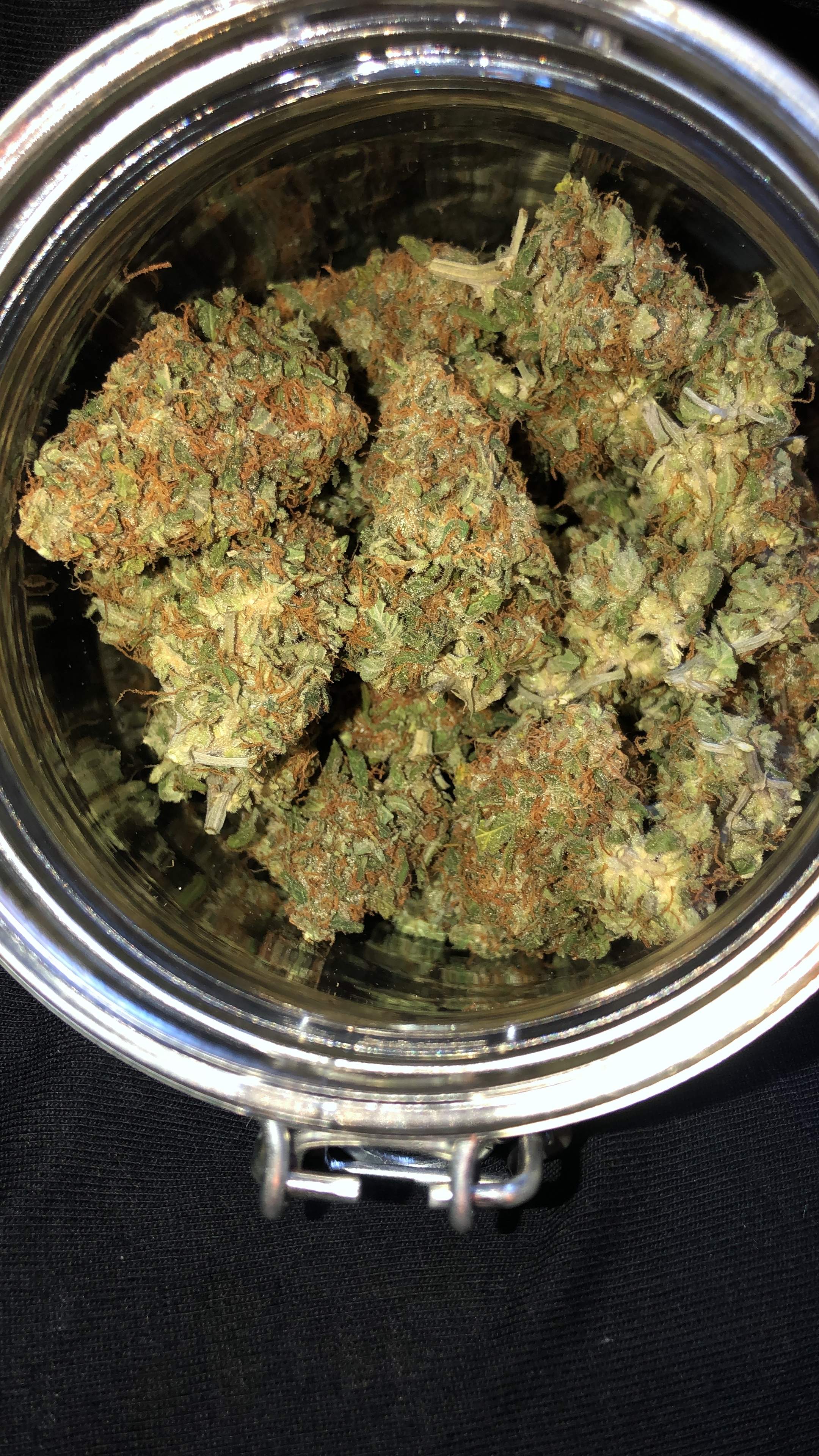 Seedsman Strawberry Cheesecake Auto, Seedsman Auto Lemon grow diary