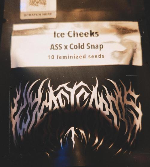 Boof Proof bout Summer 2026. Week 0 - Ice Cheeks (A.S.S. x Cold Snap)