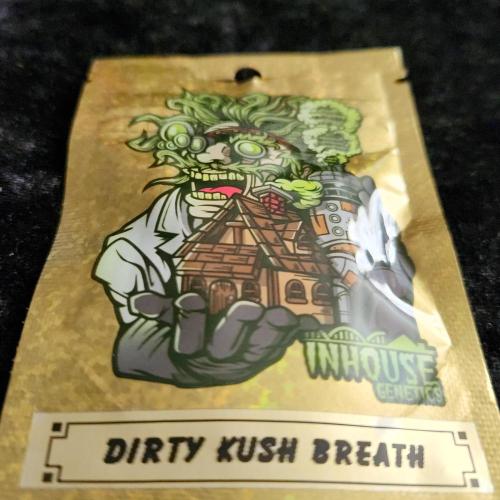 Boof Proof bout Summer 2026. Week 0 - Dirty Kush Breath (Dirty Banana x OGKB V2.1)