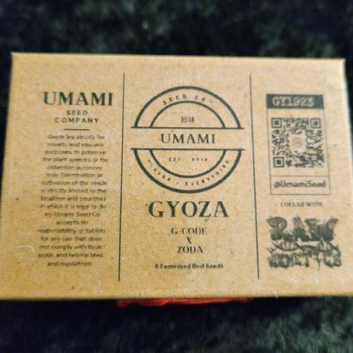 Boof Proof bout Summer 2026. Week 0 - Gyoza (G-Code x ZéClair)