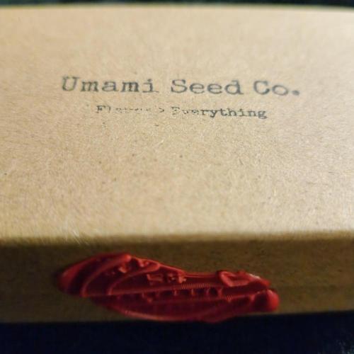Boof Proof bout Summer 2026. Week 0 - Umami Seed Co x Raw Genetics collaboration.