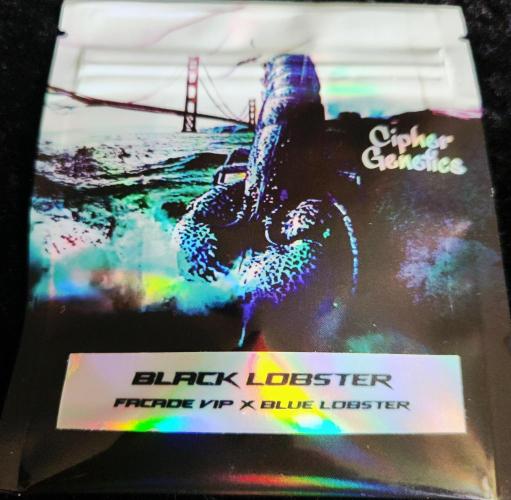 Project Bluebird Declassification.. Week 0 - Black Lobster (Facade VIP x Blue Lobster) Blue Lobster V2 .