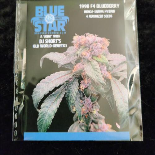 Project Bluebird Declassification.. Week 0 - Blue Star Seed Co x DJ Short's Old World Genetics  98 F4 Blueberry S1.